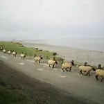 De Douanier En Baie Du Mont Saint Michel Insolite Ferienhaus Courtils