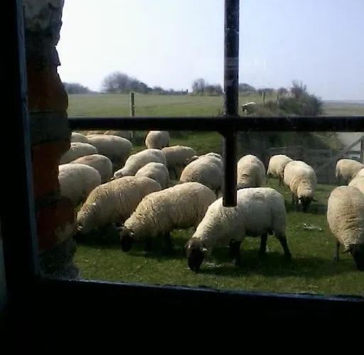 Сasa de vacaciones De Douanier En Baie Du Mont Saint Michel Insolite *