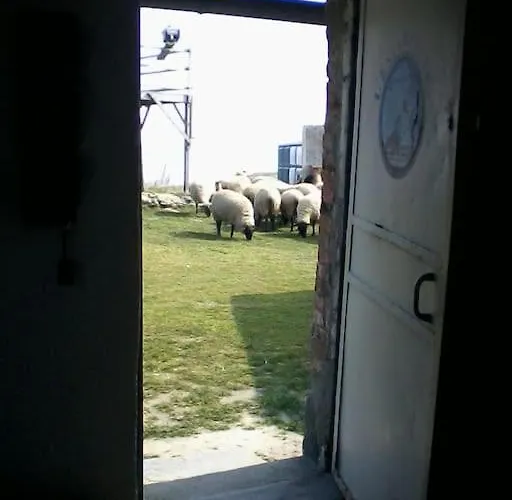 De Douanier En Baie Du Mont Saint Michel Insolite